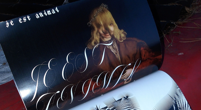 photo en gros plan d'une des double-pages de mon édition JE ANIMAL.