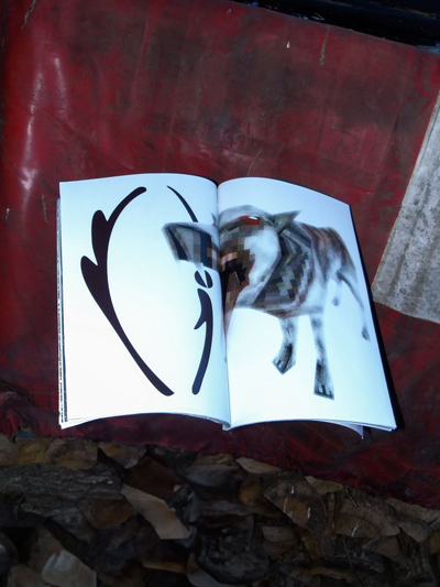 photo d'une double-page de mon édition JE ANIMAL.