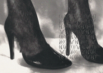 photo de pieds d'âne dans des talons aiguille.