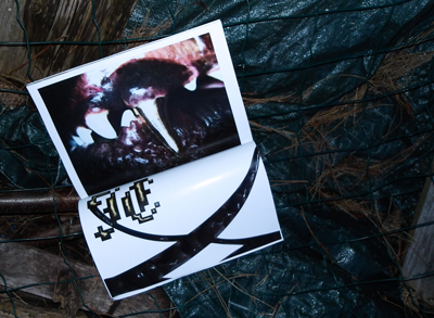 photo d'une double-page de mon édition JE ANIMAL.