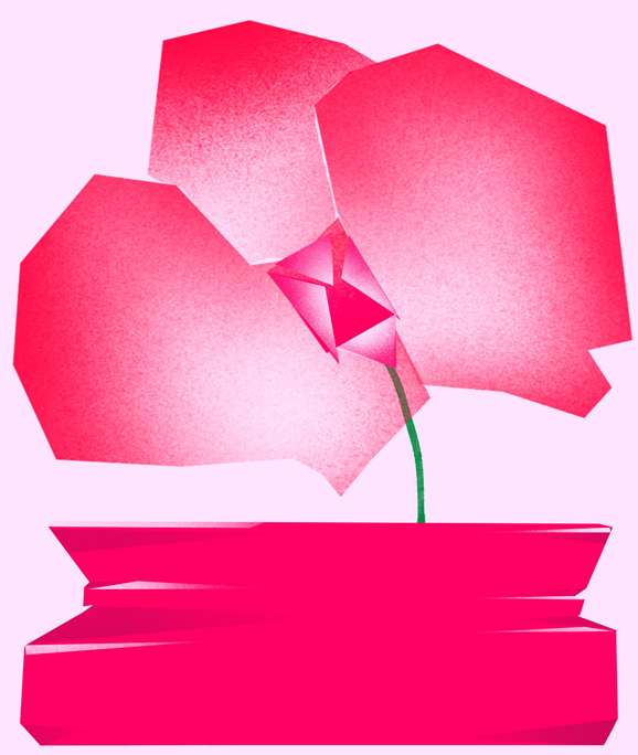 dessin d'une orchidée géométriquen dans un vase.